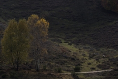 Posbank