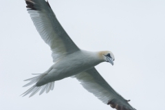 DJJ_0673-1-2