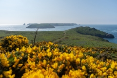 Pembrokeshire
